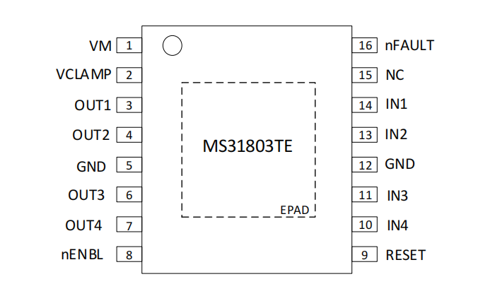 MS31803