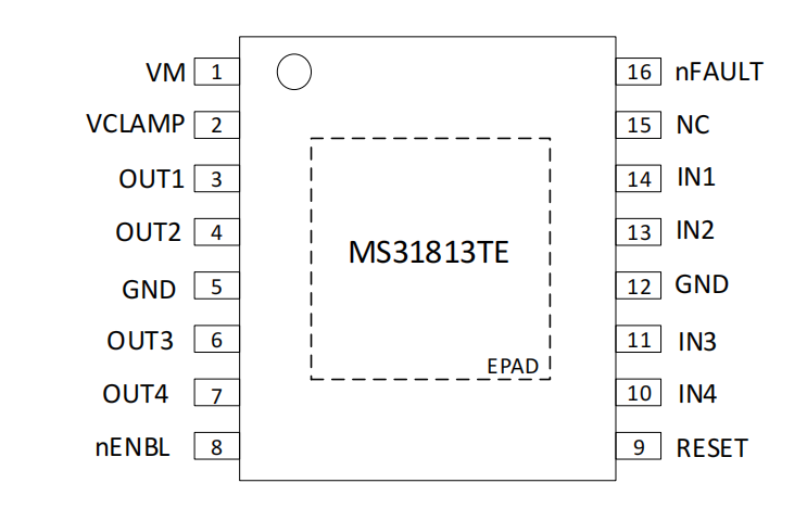 MS31813