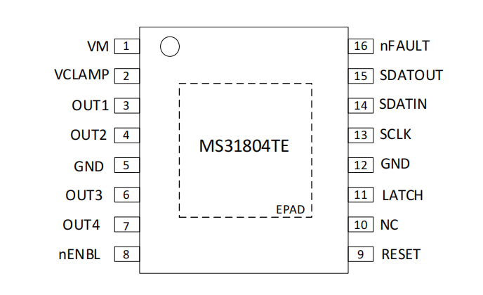 MS31804