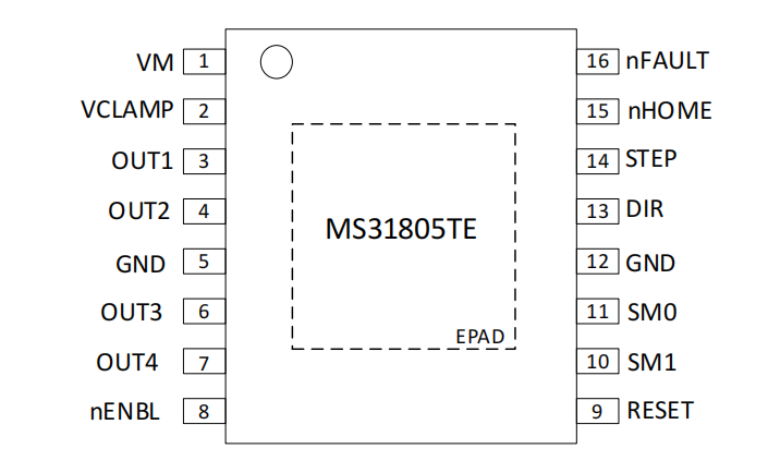 MS31805