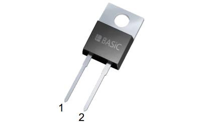 B2D10065K1